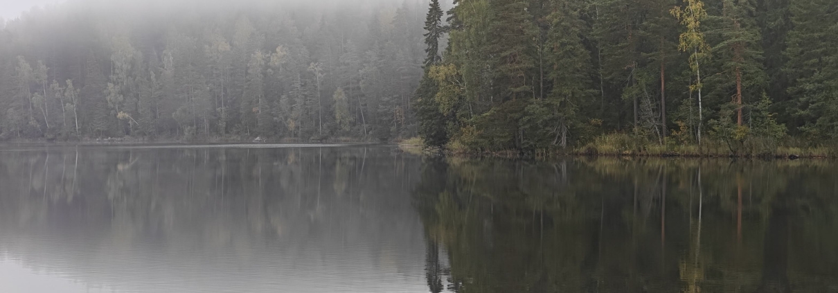 Peilityyni järvenpinta heijastelee sumuisia rantametsiä, kuvan tunnelma on unenomainen ja syksyinen.