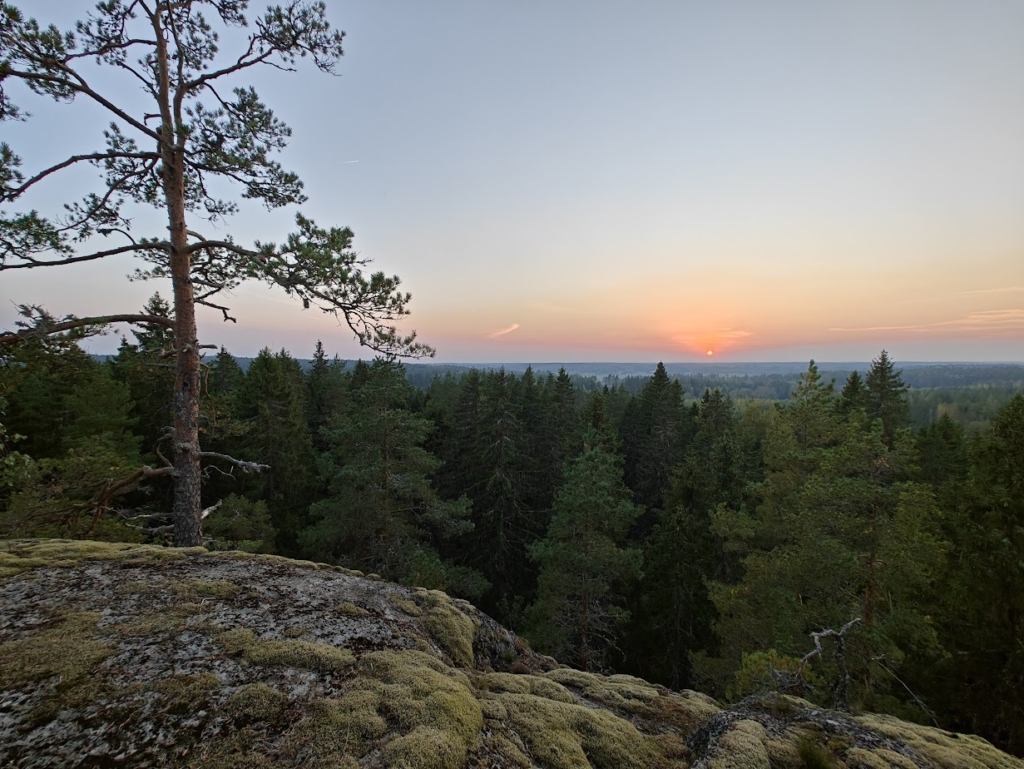Iltarusko kalliolta Sammalen peittämällä kalliolla kasvaa mänty, kallion takana levittäytyy metsä ja kallio on niin korkea, että ihana auringonlasku näkyy metsän takana. Tutkimus tieto todistaa metsän tekevän monin tavoin hyvää.